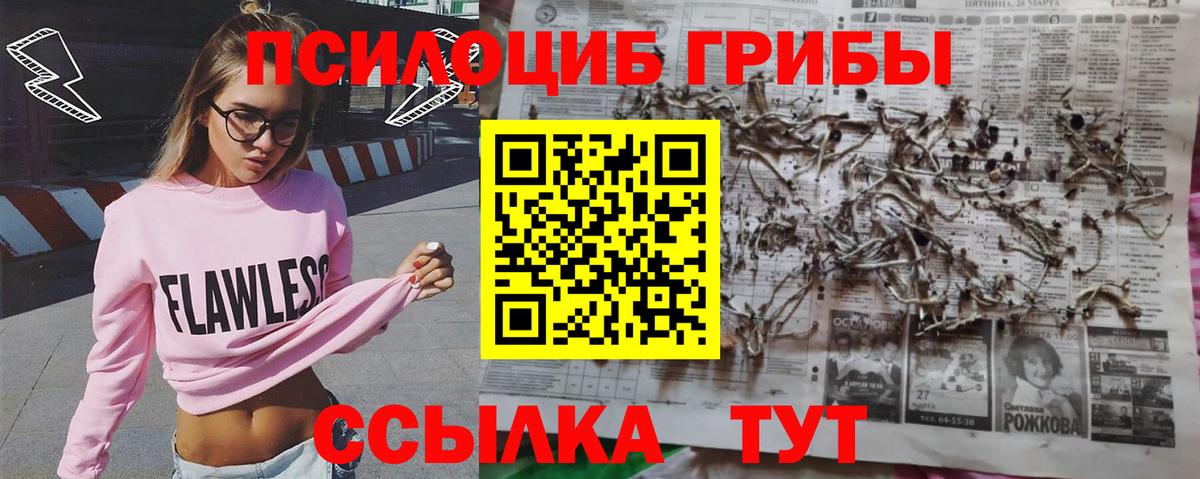 Псилоцибиновые грибы Psilocybine cubensis  Псилоцибиновые грибы мухоморы  Вход с VPN  Ульяновск 